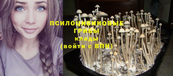 прущая мука Балахна