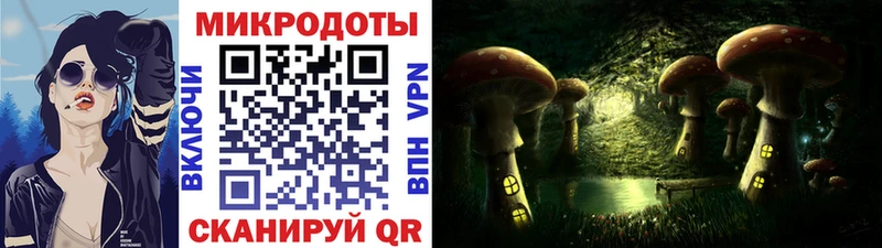KRAKEN сайт  цена наркотик  Северо-Курильск  Псилоцибиновые грибы прущие грибы 